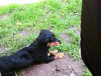 IMG 0781