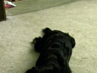 IMG 0875