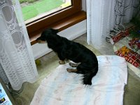 IMG 1617