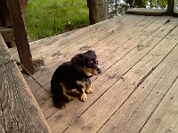 IMAG0258