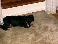 IMG 2219